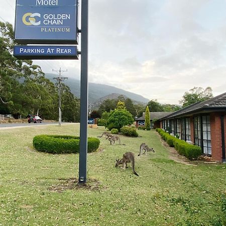 Golden Chain Country Plaza Motel Halls Gap Esterno foto